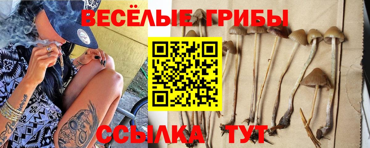 Кыштым  Псилоцибиновые грибы мухоморы  Псилоцибиновые грибы MAGIC MUSHROOMS  Вход с VPN 